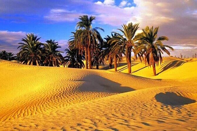 4-Day Private Tour: Sahara and Djerba Island from Tunis and Hammamet - Meals and Site Entries: The Practical Value You Feel on Day Two