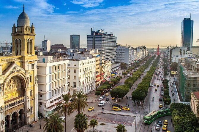 Airport Tunis Carthage Private Transfer to/from Hammamet - The Pickup Experience: Where This Service Feels Practical