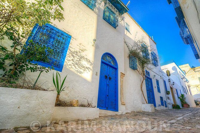 Bardo Museum- The ruins of Carthage- Village of Sidi Bou Said - A full Tunis day that actually makes sense