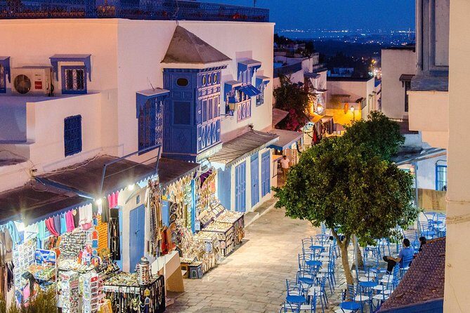 Bardo Museum- The ruins of Carthage- Village of Sidi Bou Said - Price and logistics: why $152.69 feels fair