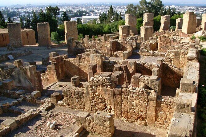 Bardo Museum with Medina, Carthage and Sidi Bou Private Tour - Carthage Archaeological Site: Where the Stories Have Footprints