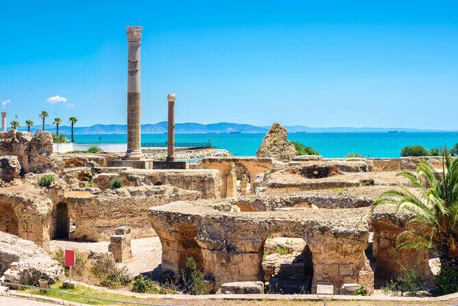 Bardo Museum with Medina, Carthage and Sidi Bou Private Tour - The National Bardo Museum: One Perfect Hour in Ancient Art