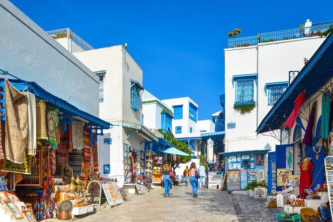 Bardo Museum with Medina, Carthage and Sidi Bou Private Tour - Sidi Bou Said: The Views, the Colors, and the Slow Hour You Need