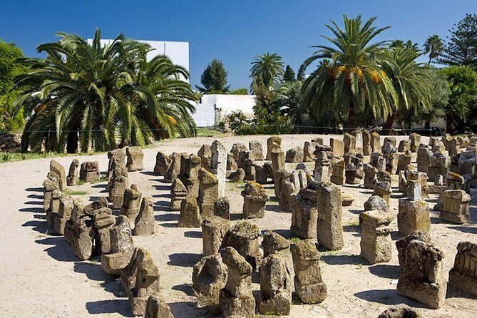 Carthage Discovery Half-Day Tour with Licensed Guide - Carthage in one half-day: why this order works