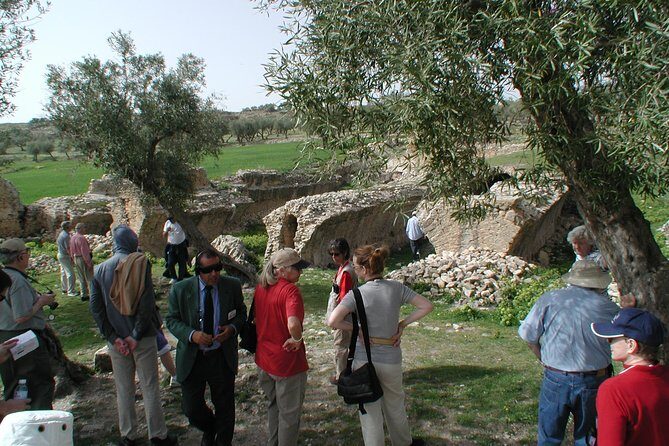 DAY TRIP TO Dougga & Bulla Regia , DEPARTURE FROM Tunis - Lunch and breaks that keep a long ruins day enjoyable