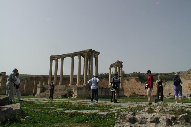 DAY TRIP TO Dougga & Bulla Regia , DEPARTURE FROM Tunis - Who should book this Dougga & Bulla Regia private day trip