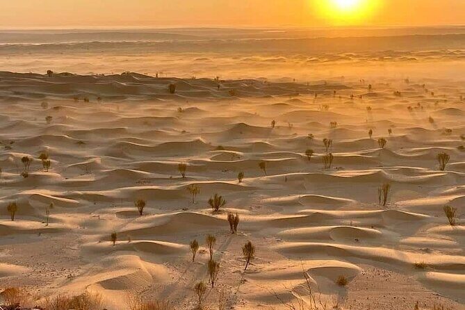 Desert tours and adventurous camel trekking through the Sahara - What a day in the dunes feels like: El Hedan to Bir Abdhull