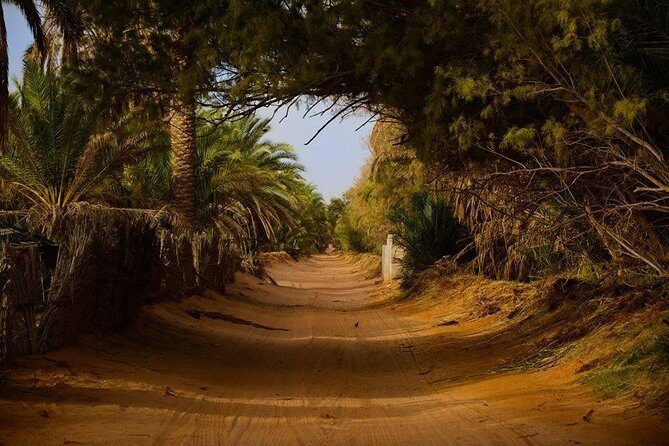 Door of the tunisian desert Ksar Ghilane and Matmata: Full one Day - The Real Cost of Desert Fun: Quads and Camels Are Extra