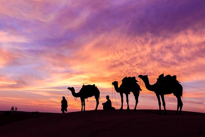 Douz Overnight Camp Stay in Sahara Desert with Dinner By Camel - Meeting the cameleers and managing the no-language guide reality