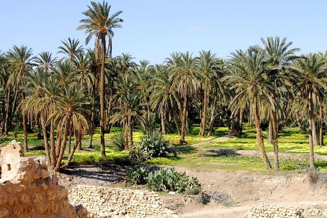 From Tunis: Star Wars 5 day tour - Day 2 Through Chebika and Mos Espa: When Tatooine Becomes a Real Place