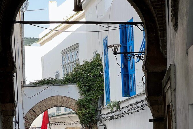 Full-Day Shore Excursion Private Tour in Tunisia Carthage ,Medina, Sidi Bou said - Price and value: $529.56 per group, and what you should add up