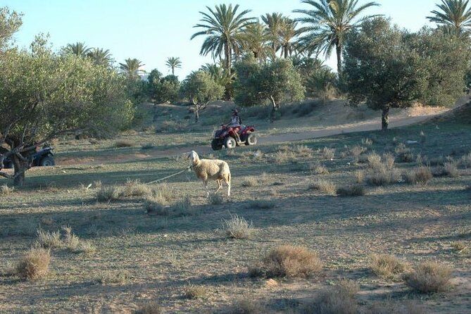 Great ride forest and blue lagoon in quad - Key things I’d plan around