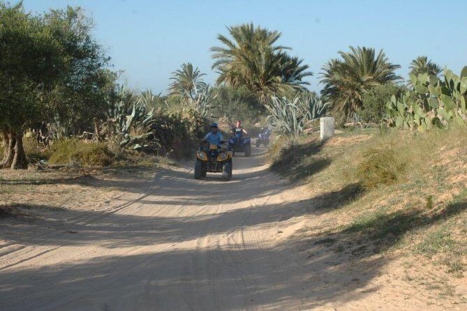 Great ride forest and blue lagoon in quad - Guide Style and Group Size: Less Waiting, More Attention