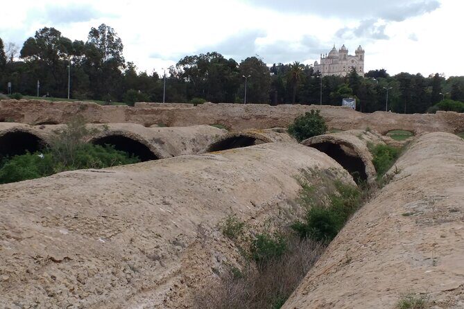 Group Guided Bike Tour of Carthage Archeological Site in Tunisia - Price and value: what $56.99 actually buys you