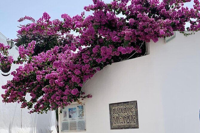 Half a day in Sidi Bousaid from Hammamet - The first wow: walking Sidi Bou Said’s white-and-blue streets