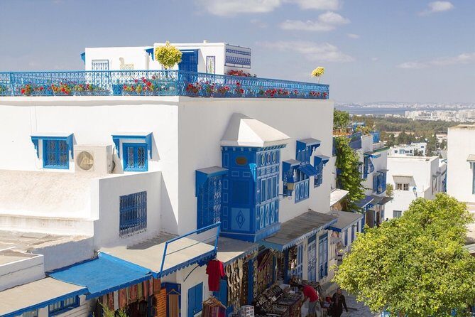 Half-Day Carthage, Sidi Bou Said Private Tour with Licensed Guide - Quick hits