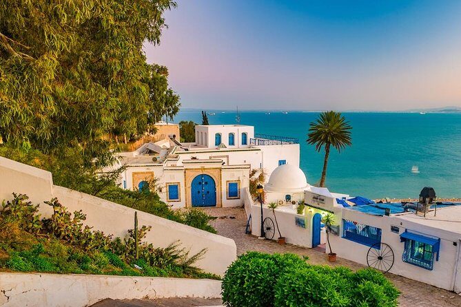 Half-Day Carthage, Sidi Bou Said Private Tour with Licensed Guide - Why This Half-Day Combo Works in Tunis