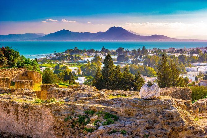Half-Day Carthage, Sidi Bou Said Private Tour with Licensed Guide - Timing, Pace, and How to Avoid Feeling Rushed