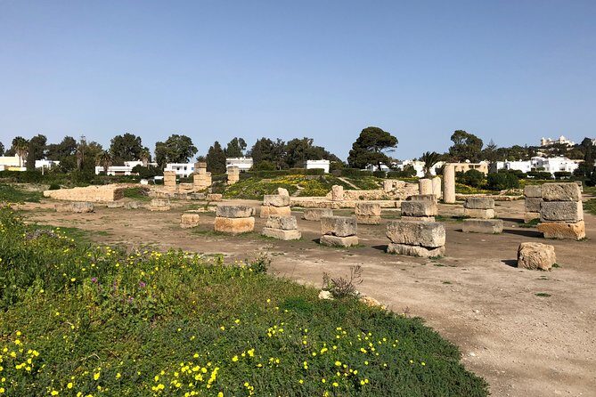 Historical Tour of Ancient Carthage - Your guide matters more than you think