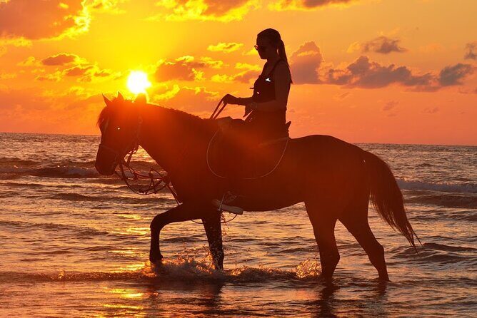 Horseback riding or camel at sunset in Djerba - Where you meet: Hôtel Dar el Manara and the 6:30 pm start