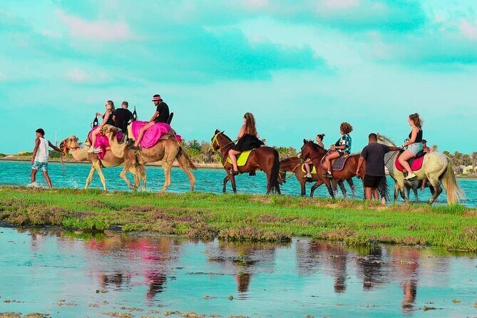 Horseback riding or camel at sunset in Djerba - The 1-hour sunset beach timeline (and what each part feels like)