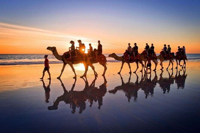 Horseback riding or camel at sunset in Djerba - Who this sunset ride is best for (and who might skip it)