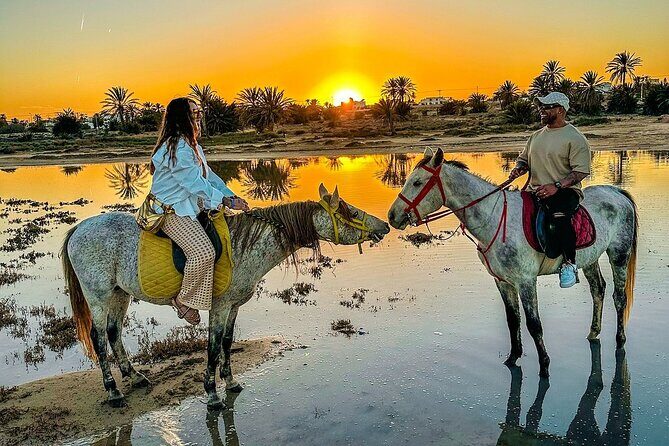 Horseback riding or camel at sunset in Djerba - Horse or camel at sunset: choosing what fits you