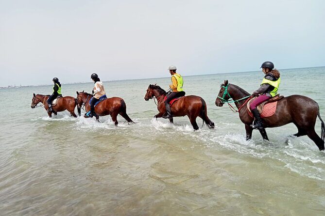 Horseback riding with private transfer - The pre-ride safety talk that actually helps