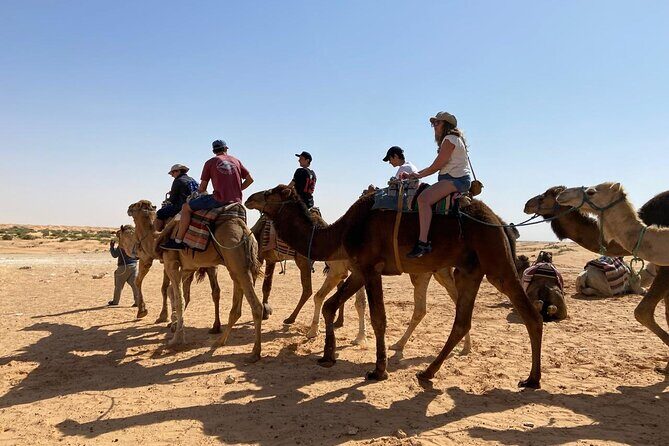 Night excursion to the desert and Berber village from Djerba - Day 1 in the Tataouine region: ksars and Berber cave villages