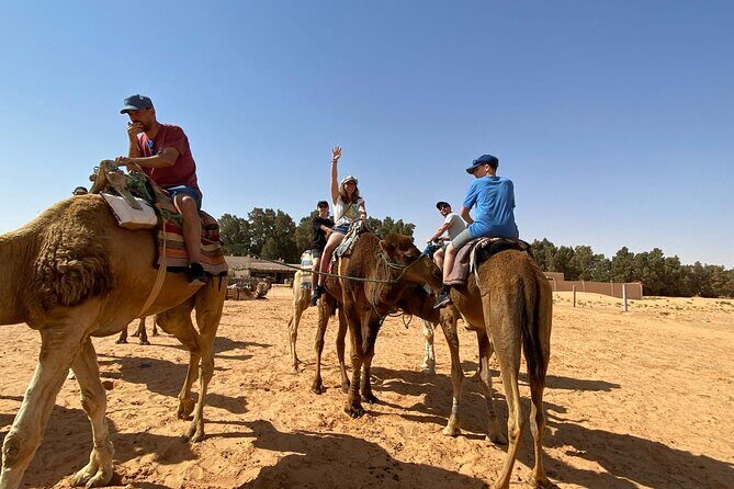 Night excursion to the desert and Berber village from Djerba - Ksar Ghilane: the oasis, the thermal springs, and sleeping under stars