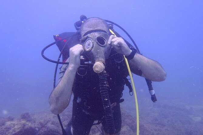 Octopus Rock Exploration - Certified Diver - Octopus Rocks at 16 meters: what you’ll likely see down there