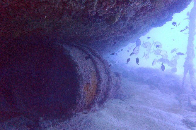 Octopus Rock Exploration - Certified Diver - Equipment included: what that means for value and comfort
