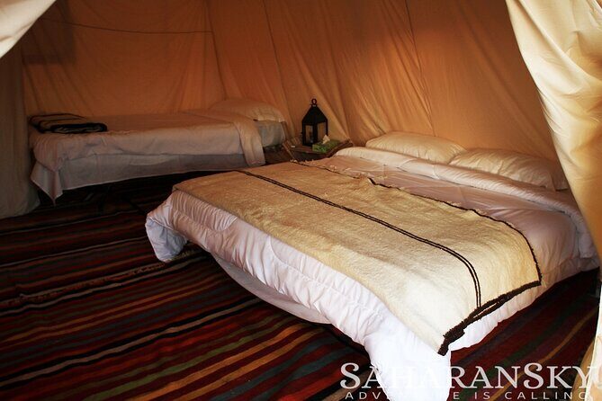 Overnight Tunisia Sahara Desert Safari by 4x4 from Douz - The Douz Desert Reserve wildlife safari stop