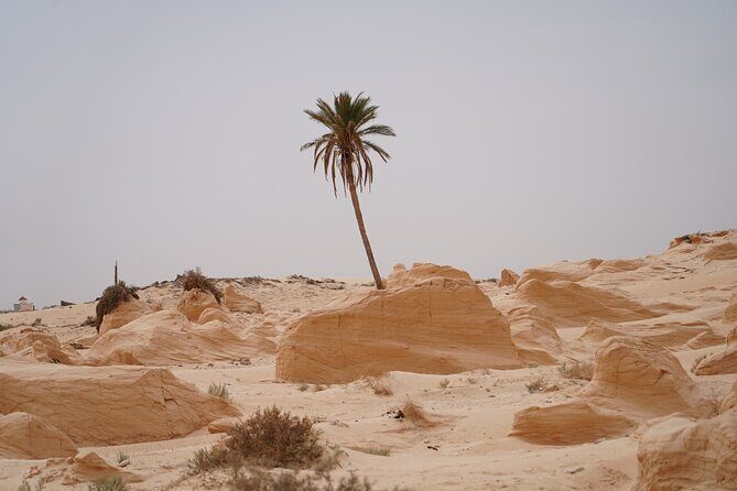 Private 3 Day Tour in Southern Tunisia or More - Chebika and Tamerza mountain oases: the best payoff for your effort