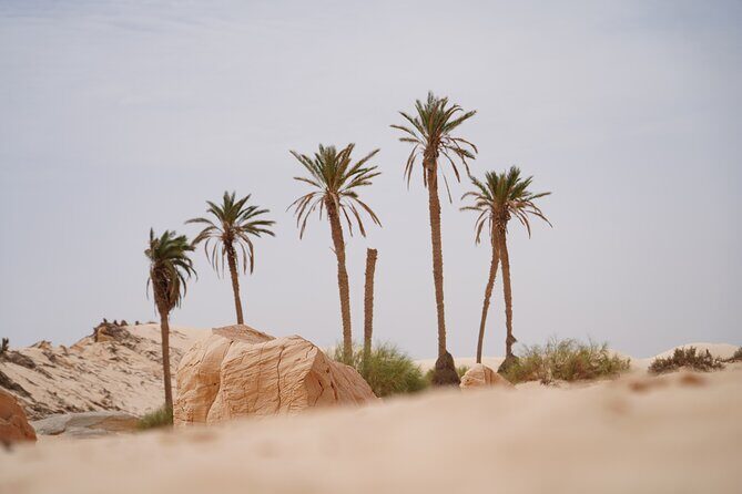 Private 3 Day Tour in Southern Tunisia or More - Price and value: what $584.30 buys you (and what it doesn’t)