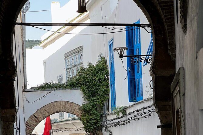 Private Day Tour Tunis Medina Carthage Sidi Bou Said Bardo Museum - How your guide changes everything: pacing, priorities, and explanations