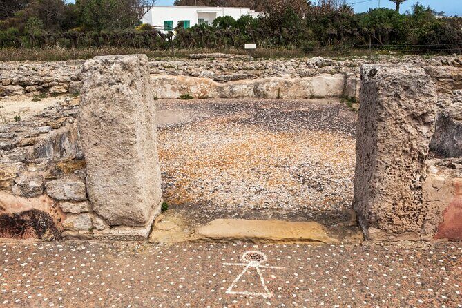 Private Excursion to the Cap Bon Peninsula - Yasmine Hammamet medina: sea-side wandering with a guided lens