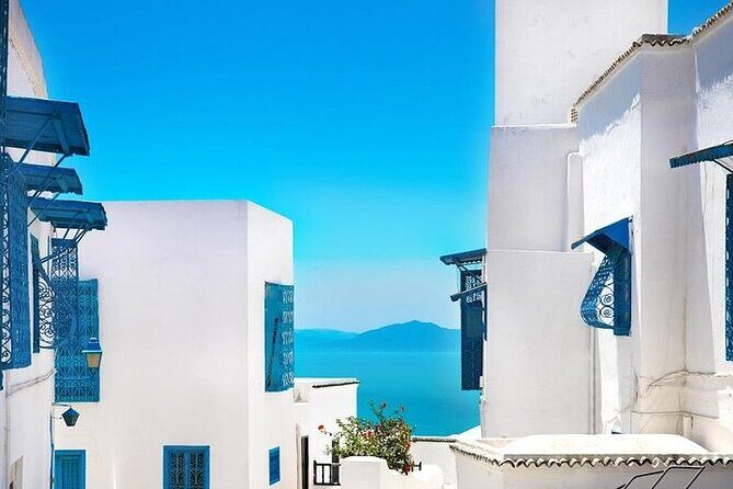 Private tour: Medina,Carthage ,Sidi Bou Said, Bardo Museum+lunch - Key highlights to expect