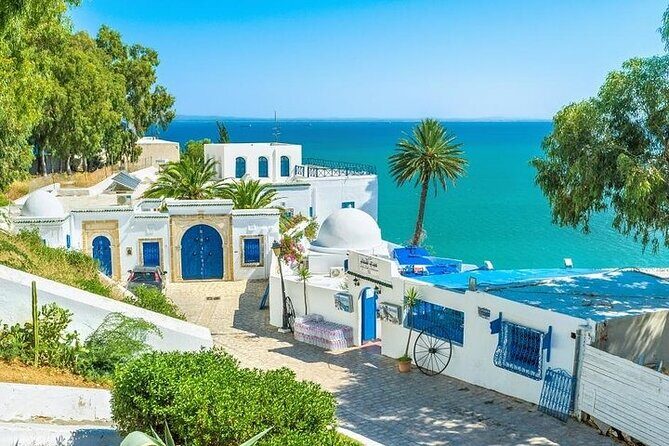 Private tour: Medina,Carthage ,Sidi Bou Said, Bardo Museum+lunch - From Hammamet to Tunis: the value of the ride