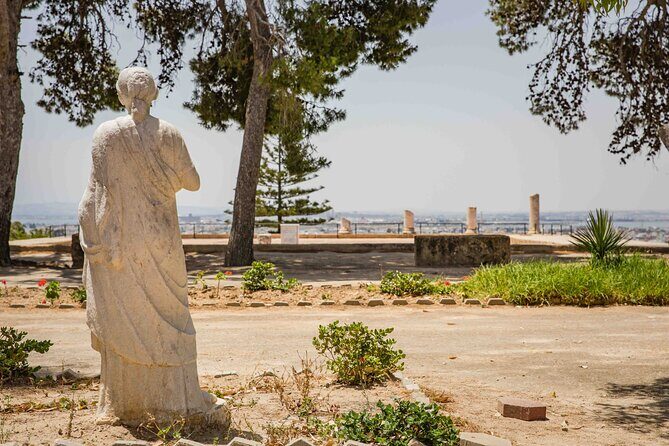 Private Walking Tour of Carthage Archaeological Site in Tunisia - Key highlights you’ll feel on the ground