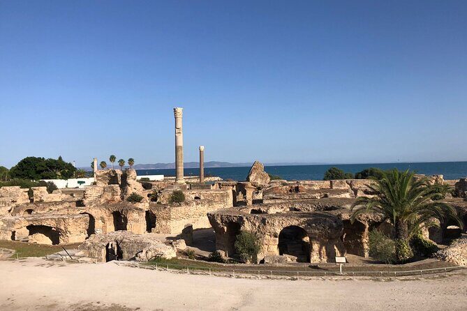 Private Walking Tour of Carthage Archaeological Site in Tunisia - Who this tour is best for (and who should look elsewhere)