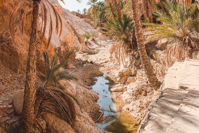 Tamerza, Chebika, Mides Canyons and Star Wars Full-Day Tour - Private pickup in Tozeur: less hassle, more day