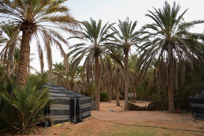 Tatouine - Cheneni - Ksar Ghuilaine - Matmata: 2 days visit - Timing Reality Check: Long Days, Early Starts, and Desert-Driven Schedule