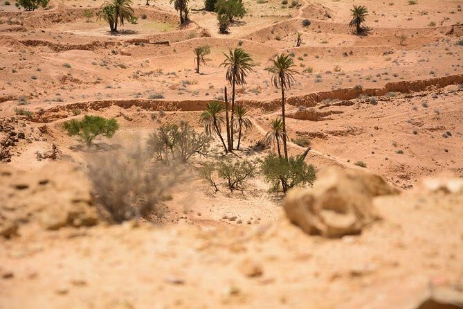 The three desert and mountain oases - Salt lakes and dune crossings: where the route becomes the story