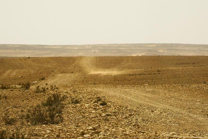 The Wonders of Tunisia: 8 days / 7 nights - Why this southern Tunisia route feels more local than a classic circuit