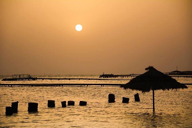 The Wonders of Tunisia: 8 days / 7 nights - Hot spring in the desert and wild dromedaries: the moments people talk about