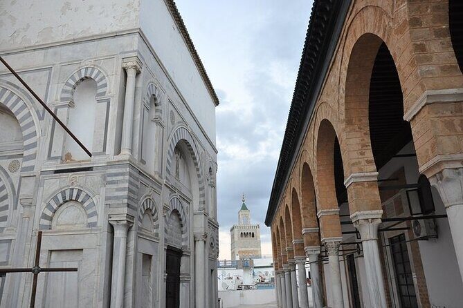 Tour of Tunis Carthage and Sidi Boussaid with local lunch - What to Pack and How to Prepare for a Full Day