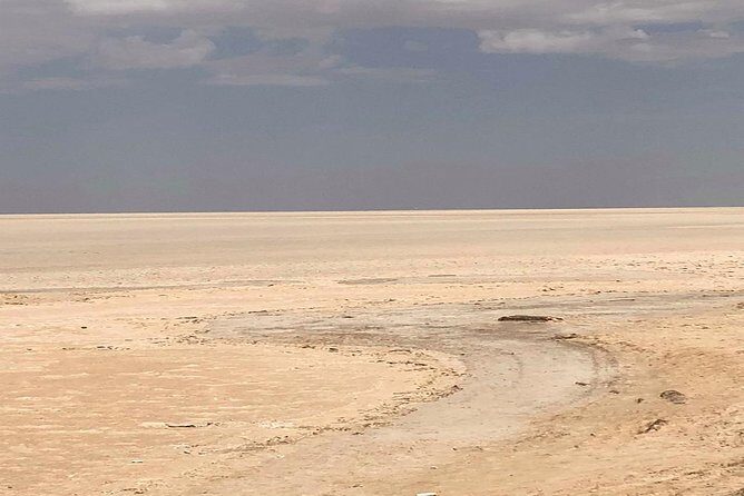 Tozeur and the mountain Oasis - Chott, Erg, and Reg: Salt, Sand, and Rock Desert in Context