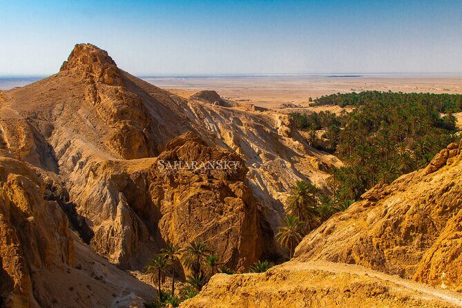 Tozeur: Tamerza, Chebika, Mides and Star Wars locations Day Tour - Chebika Oasis of the Sun: palms, springs, and easy wandering