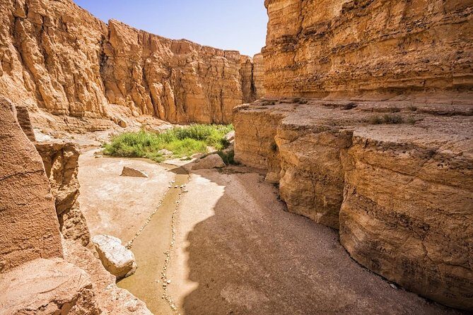 Tozeur: Tamerza, Chebika, Mides and Star Wars locations Day Tour - Sidi Bouhlel Canyon: quick stop, strong “starship” atmosphere